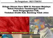 Diduga Oknum Guru SDN 01 Harapan Majalaya Nekat Palsukan Tandatangan Suami Demi Pengangkatan P3K, Tindakan Disdik Kab Bandung Tidak Jelas
