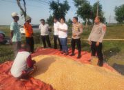 Polsek Kasokandel Dukung Swasembada Pangan, Kawal Penjualan Jagung Pipil ke Bulog Majalengka