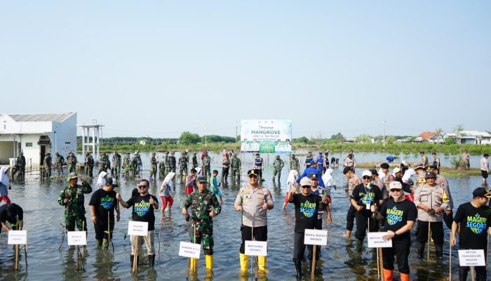 Kapolres Brebes Dukung Gerakan Mageri Segoro, Ribuan Pohon Mangrove Ditanam Serentak di Jawa Tengah