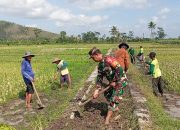 Babinsa Margomulyo Bantu Warga Timbun Jalan Pertanian Untuk Lancarkan Akses