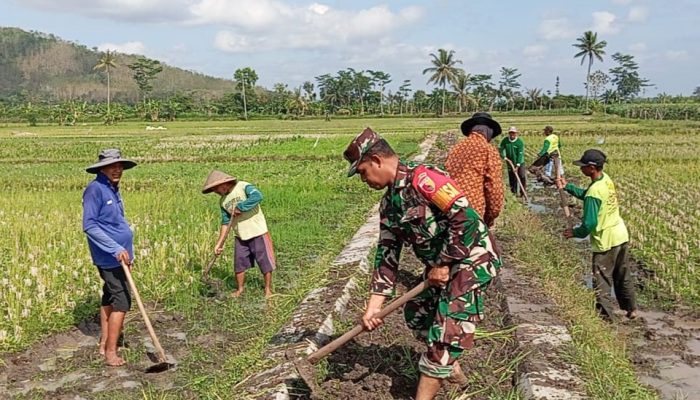 Babinsa Margomulyo Bantu Warga Timbun Jalan Pertanian Untuk Lancarkan Akses