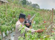 Polisi Penggerak Ketahanan Pangan Polsek Cikijing Ajak Warga Desa Sukasari Tingkatkan Produksi Pangan