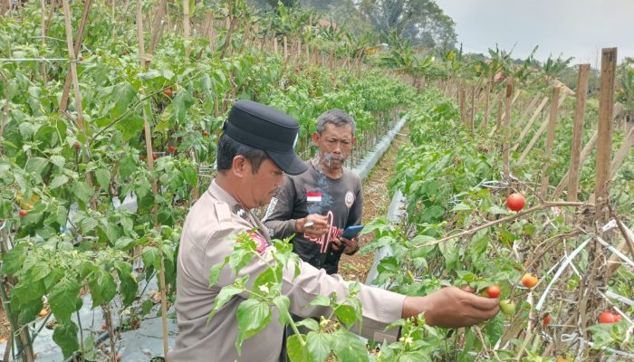 Polisi Penggerak Ketahanan Pangan Polsek Cikijing Ajak Warga Desa Sukasari Tingkatkan Produksi Pangan