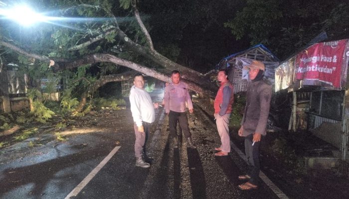 Polsek Banyuresmi Evakuasi Pohon Tumbang Yang Timpa Jalan Raya Depan Situ Bagendit