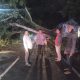 Polsek Banyuresmi Evakuasi Pohon Tumbang Yang Timpa Jalan Raya Depan Situ Bagendit