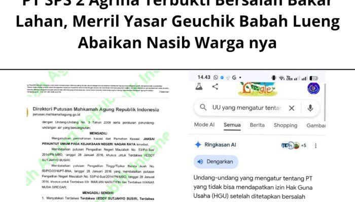PT SPS 2 Agrina Terbukti Bersalah Bakar Lahan, Merril Yasar Geuchik Babah Lueng Abaikan Nasib Warga nya