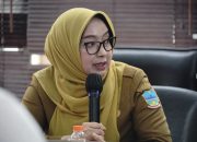 Bupati Garut Terima Audiensi Program DED Fase II, Dorong Penguatan Digitalisasi Kesehatan