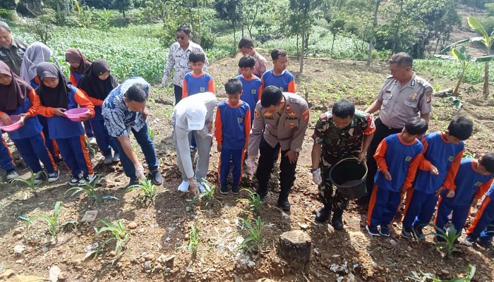 Kapolsek Majalengka Kota Hadiri Penanaman 1000 Pohon dan Pemupukan Jagung Bersama Komunitas Petani Cilik SDN Babakanjawa III