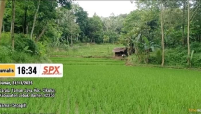 KELOMPOK TANI DESA ANGGALAN KELUHAN TIDAK MENDAPATKAN PROGRAM DARI DINAS PERTANIAN