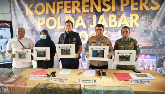 *Polda Jabar Ungkap Kasus Pemeliharaan 14 Burung Elang Dilindungi di Indramayu*