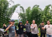 Jaga Kamtibmas Tetap Kondusif, Kapolsek Malausma Aktif Sambangi Warga Desa Lebakwangi