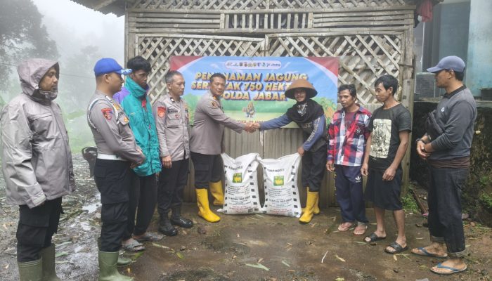 Sinergi Perkuat Ketahanan Pangan, Kapolsek Cingambul Pimpin Penanaman Jagung Serentak di Desa Sedaraja