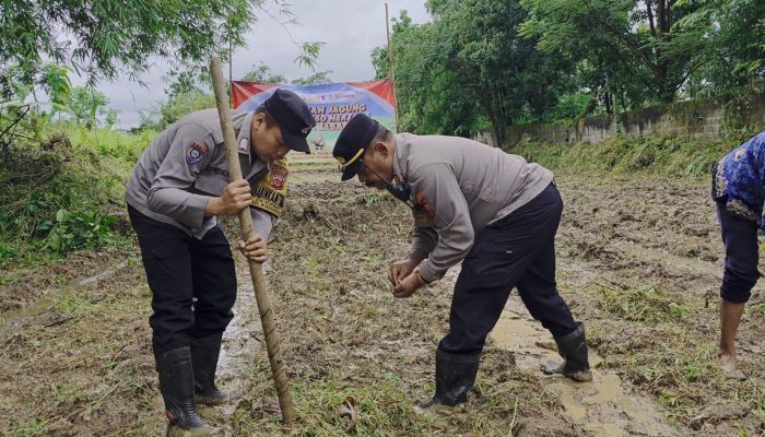 Dukung Ketahanan Pangan Nasional, Kapolsek Kadipaten Pimpin Penanaman Jagung di Blok Sawala