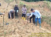 Aksi Nyata Ketahanan Pangan, Kapolsek Talaga dan Warga Mekarraharja Sulap Lahan Tidur Jadi Kebun Jagung
