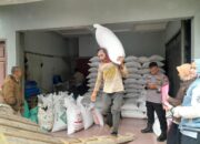 Polsek Sukawening Kawal Serapan Hasil Panen Jagung Petani, 10,5 Ton Masuk Gudang Bulog Garut