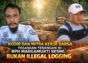 Kodir dan Mitra Kerja Darsa Tegaskan Tebangan di RPH Margamukti Resmi, Bukan Illegal Logging