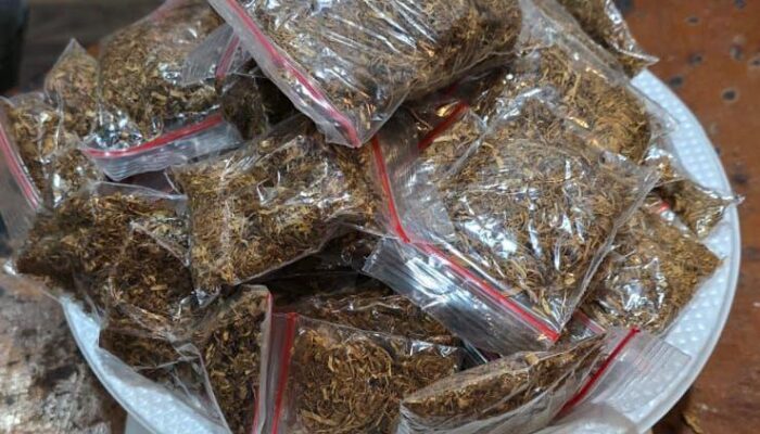 Digerebek Tengah Malam, Dua Pemuda Serang Simpan Puluhan Paket Narkoba Siap Edar