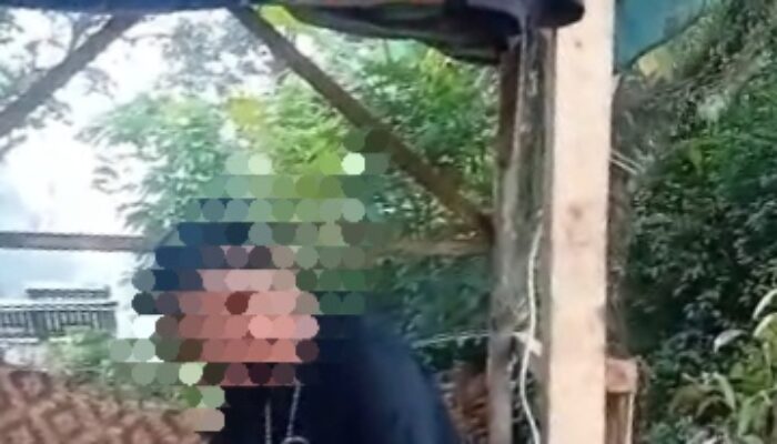Peredaran Obat Keras Golongan G Diduga Beroperasi di Gubuk Persawahan Kampung Tagog Bandung Barat