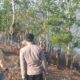 Kebakaran Lahan Seluas 5 Hektare Terjadi di Cikelet, Polisi Bersama Damkar dan Warga Lakukan Pemadaman