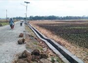 Pembangunan Irigasi P3-TGAI di Desa Ciklapa Kembali Disorot : Diduga Diskriminatif dan Berpotensi Cacat Mutu
