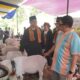 Bupati Garut Dorong Pengembangan Domba Garut untuk Perkuat Ekonomi Masyarakat