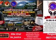 Gakkum Kementerian Kehutanan Tuntaskan Pulbaket Getah Pinus TNGC, Rantai Penampungan Hingga PT EMB Diminta Dibuka Terang