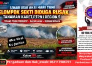 Sehari Usai Aksi Hari Tani, Tanaman Karet PTPN I Region 5 Diduga Dirusak Kelompok Sekti — Aparat Diminta Bertindak Cepat