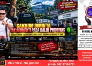 Gakkum Diminta Tak Berhenti pada Dalih Prioritas — Dugaan Rantai Getah Pinus TNGC Harus Dibongkar Hingga PT EMB