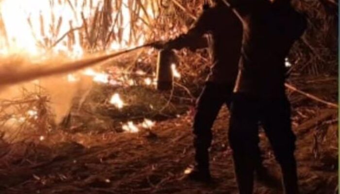 Cegah Api Meluas, Polisi Bantu Damkar Padamkan Kebakaran Kebun Bambu