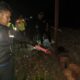 Polisi Evakuasi Pejalan Kaki Tertemper Kereta Api